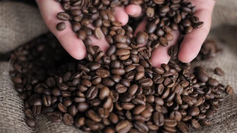 Coffee beans in hands Stock Footage 87496743