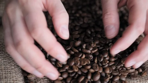 Coffee beans in hands Stock-Footage 88125556