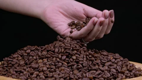Coffee Beans On Hands Stock Footage 166081725