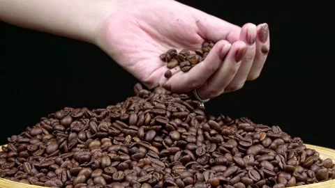 Coffee Beans With Hands Stock Footage 167438667