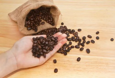 Coffee beans in hands Stock Photos
