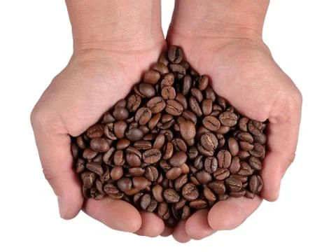 Coffee beans in the hands 写真素材