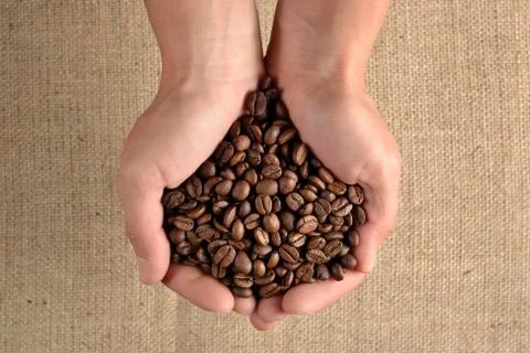 Coffee beans in the hands Stock Photos