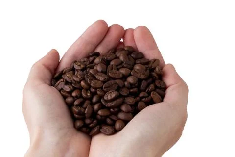 The coffee beans in a hands Stock Photos