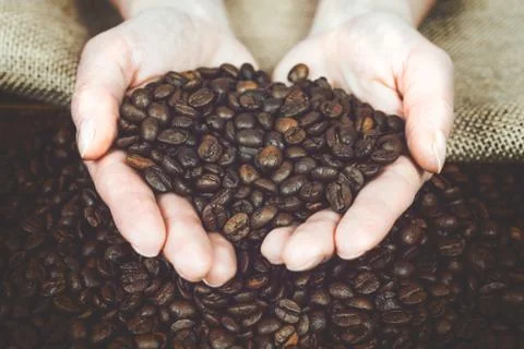 Coffee beans in hands Stock Photos
