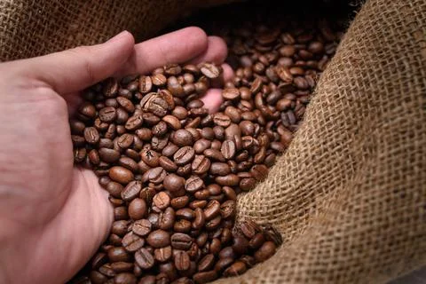 Coffee beans in hands Stock Photos