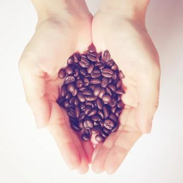 Coffee beans in hands with retro filter effect Foto stock