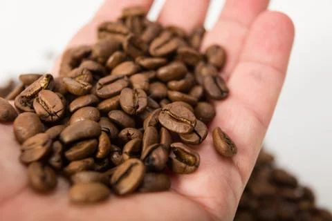 Coffee beans in hands on white  background Stock Photos