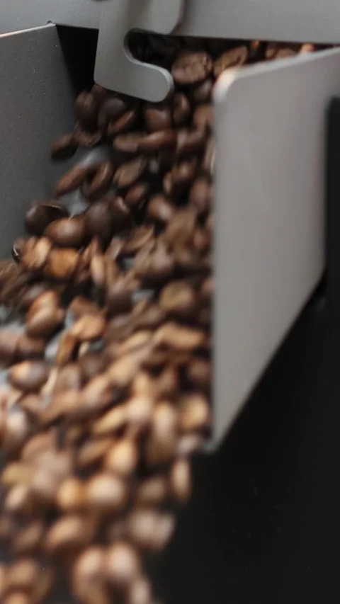 Coffee beans that have been roasted spill out of discharging flap cooler in a Stock Footage 278371344