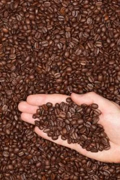 Coffee beans on a human hand Foto stock