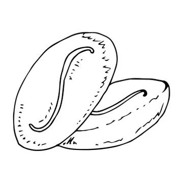 Coffee beans icon. Vector illustration of coffee beans. Hand drawn coffee bea Stock Illustration