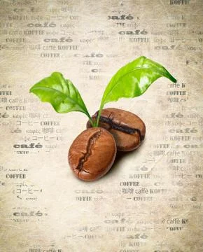 Coffee beans Stock Illustration