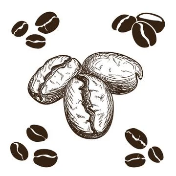 Coffee beans Stock Illustration