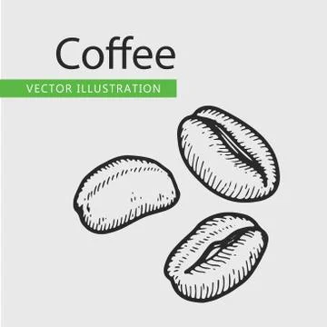 Coffee beans Stock Illustration