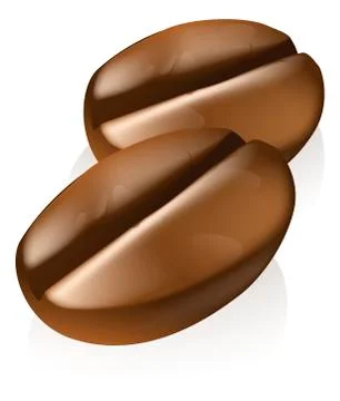 Coffee beans illustration イラスト素材
