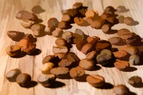 Coffee beans illustration Stock Illustration