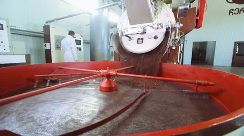Coffee beans in industrial machine Video stock 52313964