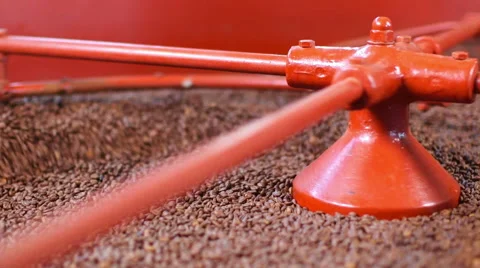 Coffee beans in industrial machine Stock-Footage 52314009