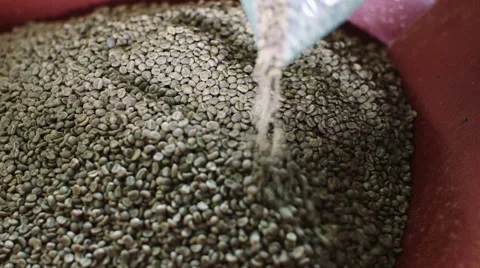 Coffee beans in industrial machine Stock Footage 52314270
