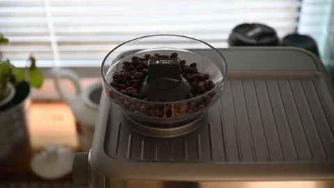 Coffee beans inside coffee grinder waiting to be ground Video stock 125575362