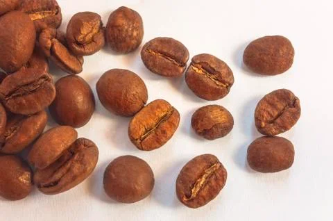 Coffee beans isolated on light background. Top of view. Stock Photos