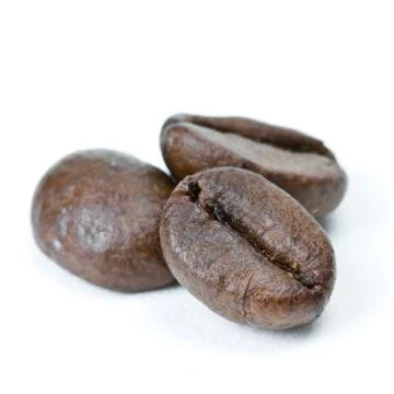 Coffee beans isolated Stock Photos