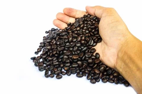 Coffee beans isolated Stock Photos