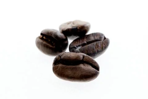 Coffee beans isolated Stock Photos