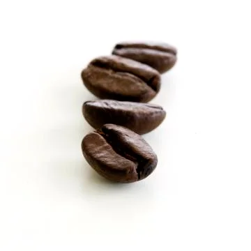 Coffee beans isolated Stock Photos