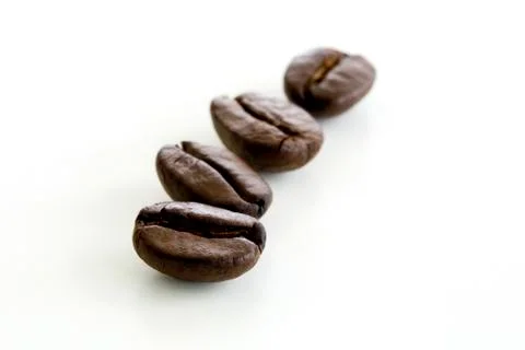 Coffee beans isolated Stock Photos