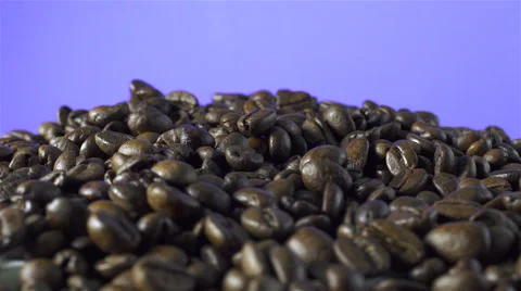 Coffee Beans isolated rotating on purple background Stock Footage 62379094