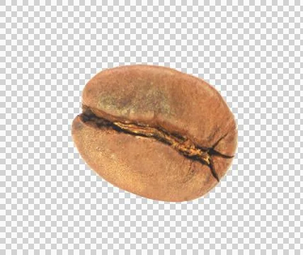 Coffee beans. isolated on transparent background png file Stock Photos