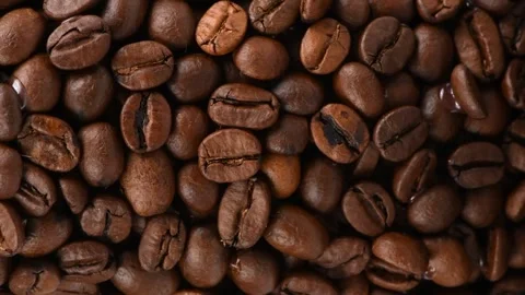 Coffee beans isolated on a white background. Side view. Stock Footage 245081452