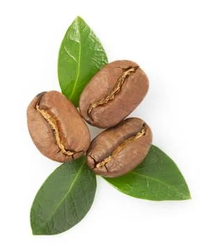 Coffee beans isolated on white background Stock Photos