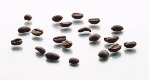 Coffee beans isolated on white background 库存照片
