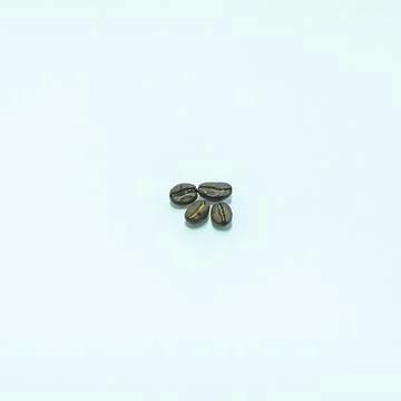 Coffee beans. Isolated on white background. Stock Photos