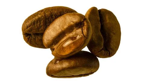 Coffee beans isolated on white background. Coffee with a drop of water Stock Photos