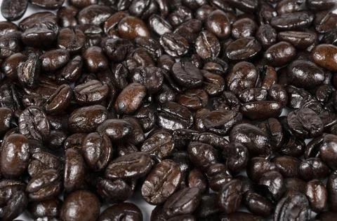 Coffee beans isolated on white background Stock Photos