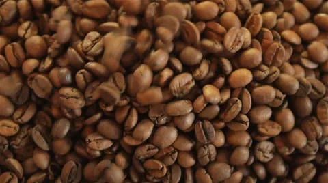 Coffee beans  java grains granules Stock Footage 54513842