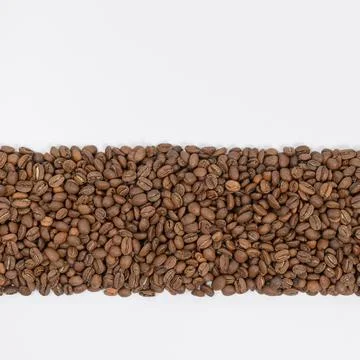 Coffee beans laid out in one wide row on a white background, place for inscri Stock-Fotos