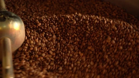 Coffee beans on a large cooling plate of a roasting machine Stock Footage 234626977