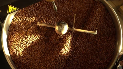 Coffee beans on a large cooling plate of a roasting machine lit by sunshine Stock Footage 234627552