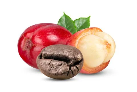 Coffee beans with leaf isolated Stock Photos