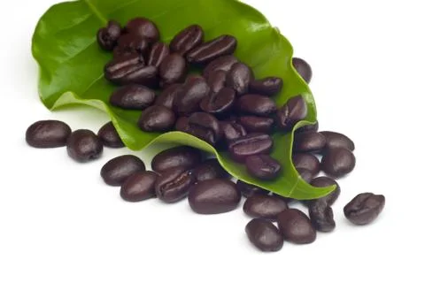 Coffee beans with leaf . Stock Photos