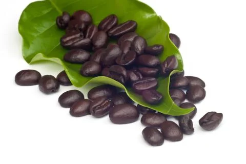 Coffee beans with leaf . Stock Photos