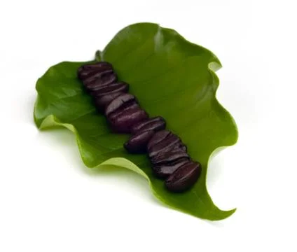 Coffee beans with leaf . Stock Photos