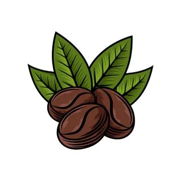 Coffee Beans Logo design vector illustration. Vintage Coffee Beans Logo vecto Stock Illustration