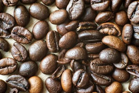 Coffee beans lying on the kitchen counter Stock Photos