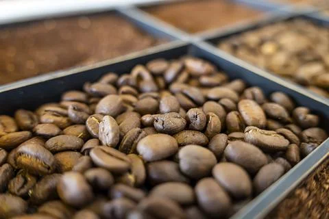 Coffee beans macro close up. Various types of coffee. Stock Photos