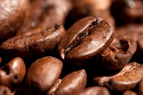 Coffee beans macro Stock Photos